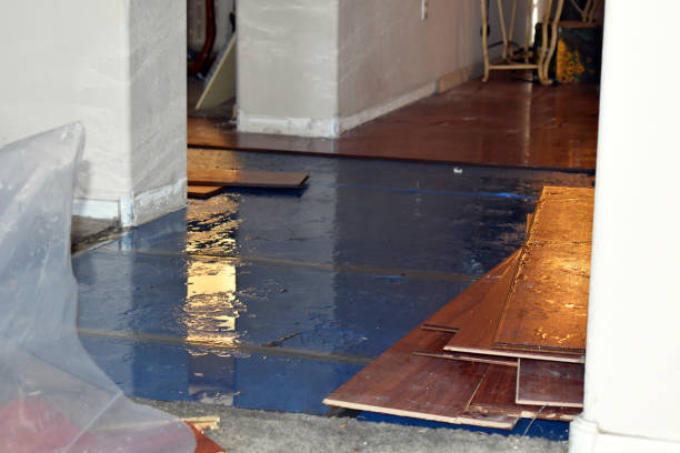 Professional Flood Damage Repair technician working in Bowie, TX